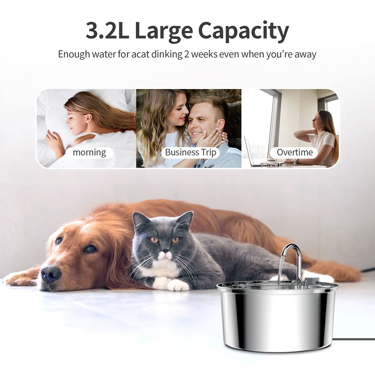 3.2L stainless steel pet water dispenser